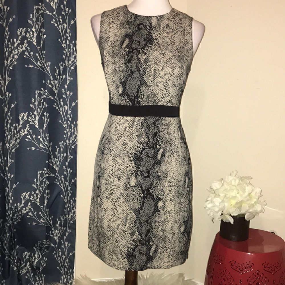 W.G.B. by Walter G Baker Snake Print Sheath Dress